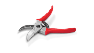 Pruning Shears