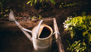 Watering Can