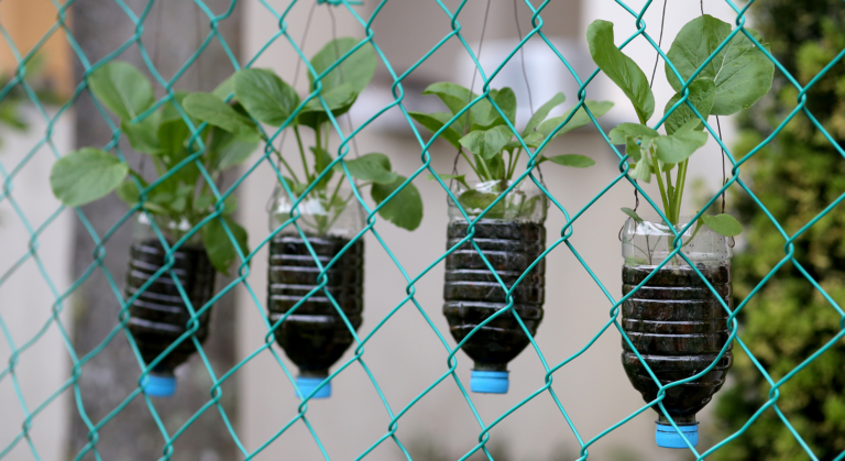 vertical gardening