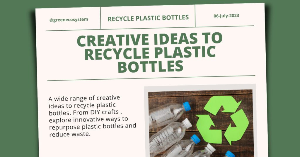 Creative Ideas to Recycle Plastic Bottles