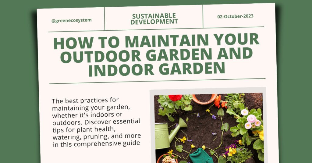 How to maintain your outdoor garden