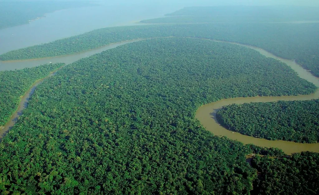 1280px aerial view of the amazon rainforest