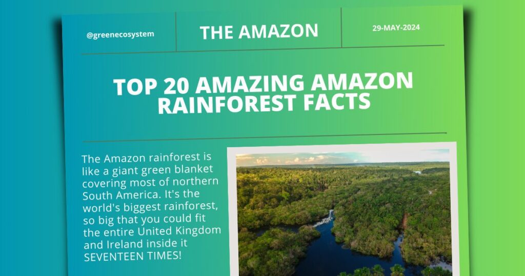 Amazon Rainforest facts