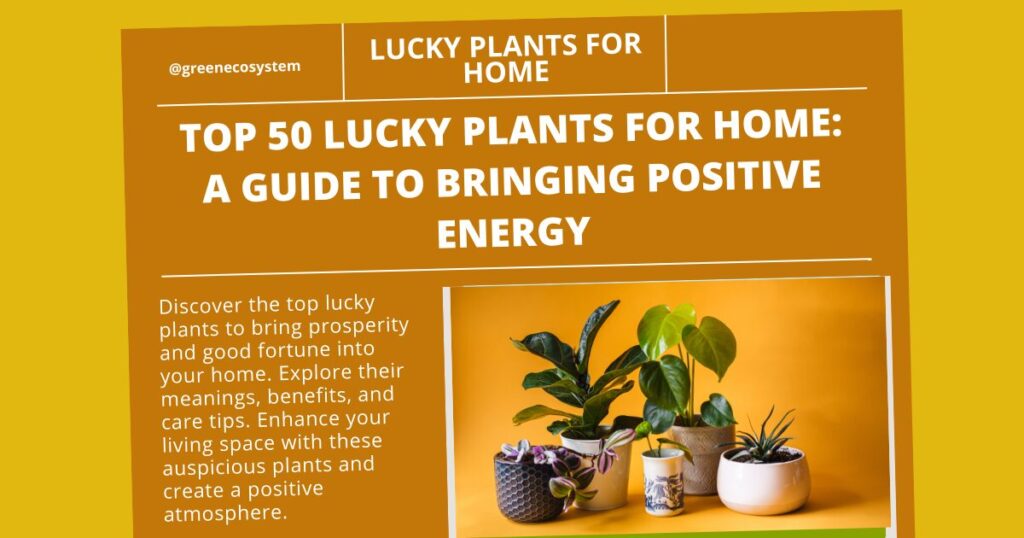 Top 50 lucky plants for home